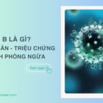 Cúm B là gì? Nguyên nhân, triệu chứng và cách phòng ngừa