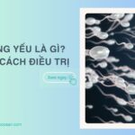 Tinh trùng yếu là gì? Dấu hiệu tinh trùng yếu, cách điều trị