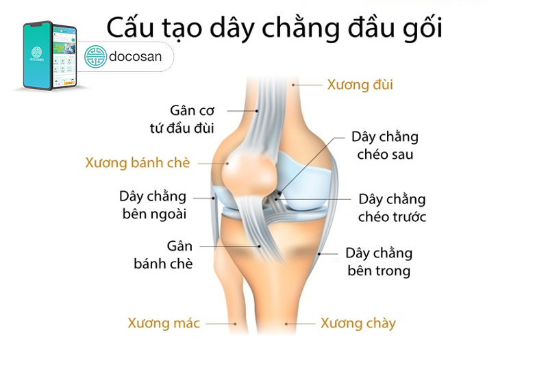 giãn dây chằng