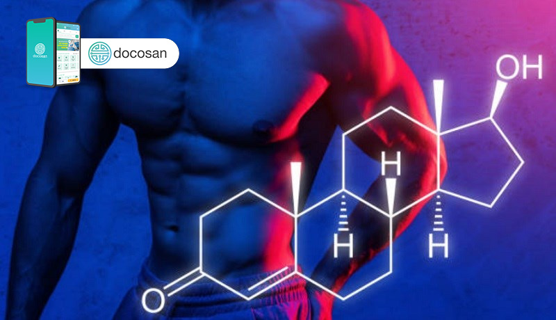 testosterone có vai trò gì