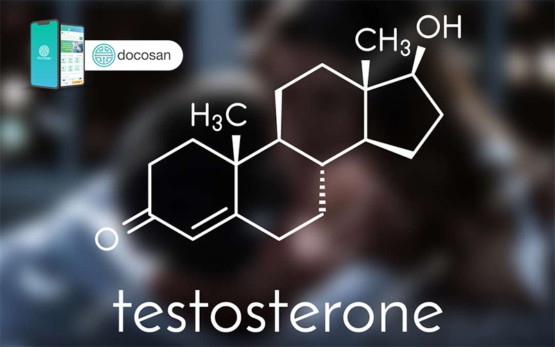 testosterone có vai trò gì