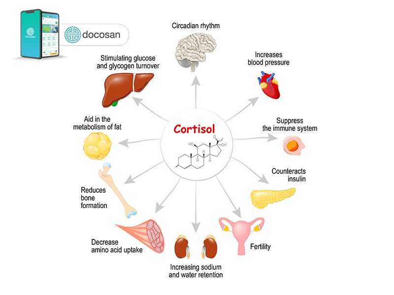 xét nghiệm cortisol