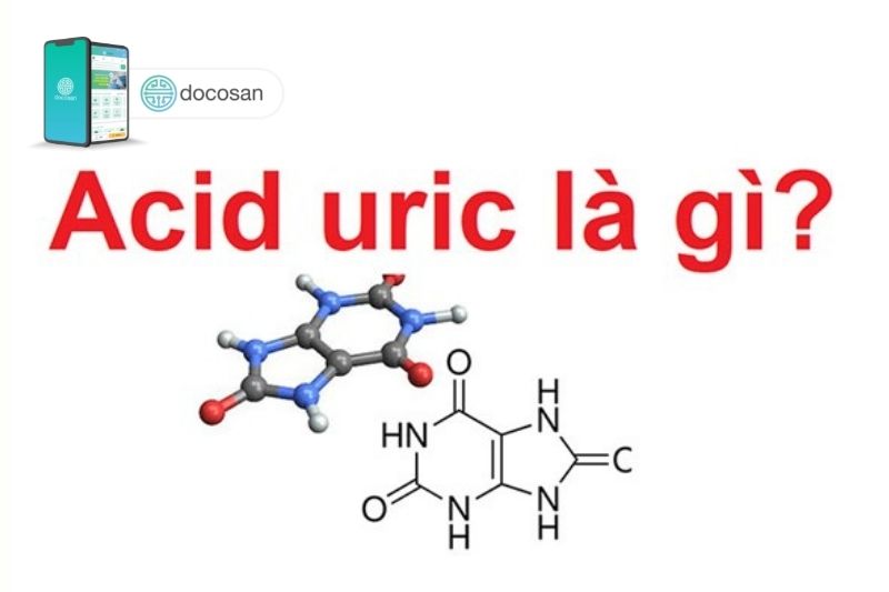 Xét nghiệm acid uric 