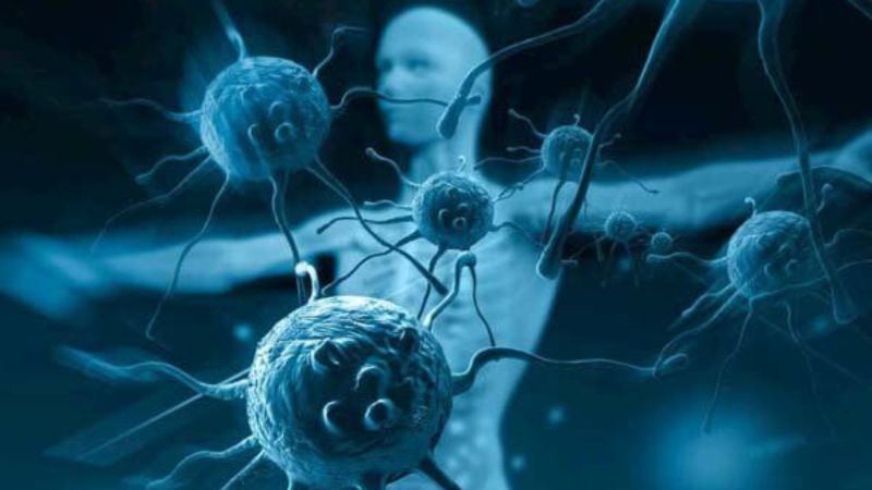 Phụ nữ có hệ miễn dịch yếu dễ có nguy cơ bùng phát nấm Candida