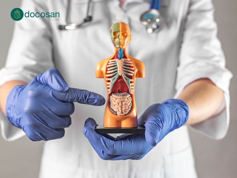 nội soi trực tràng