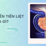 Viêm tuyến tiền liệt là gì? Có tự khỏi không? Dấu hiệu, điều trị