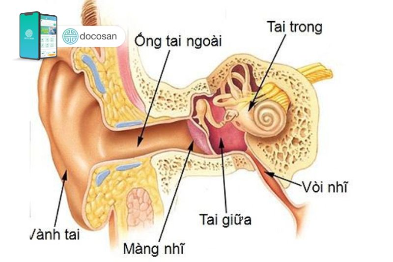triệu chứng viêm tai giữa