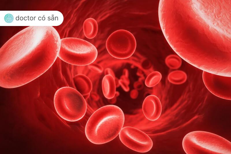 Xác định nhóm máu determine blood type 1