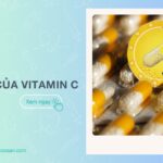 Vitamin C có tác dụng gì? 11 công dụng, liều dùng, lưu ý bạn cần biết