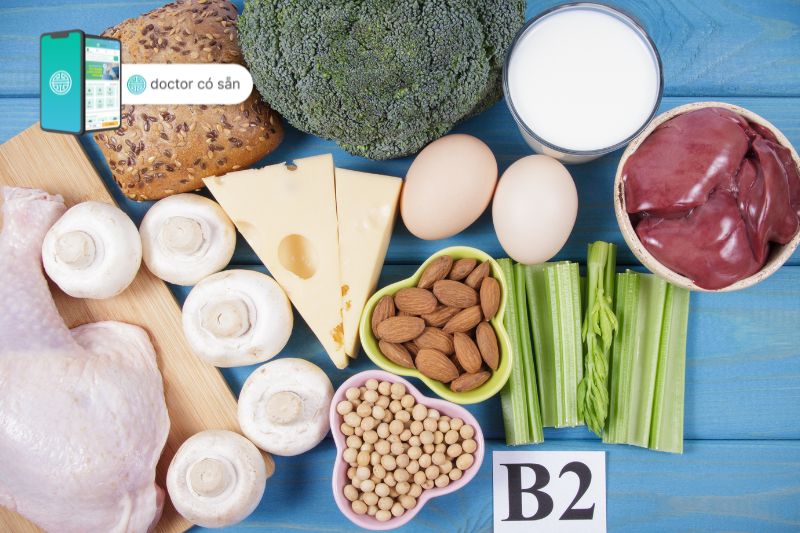 Thực phẩm là nguồn giàu vitamin B2