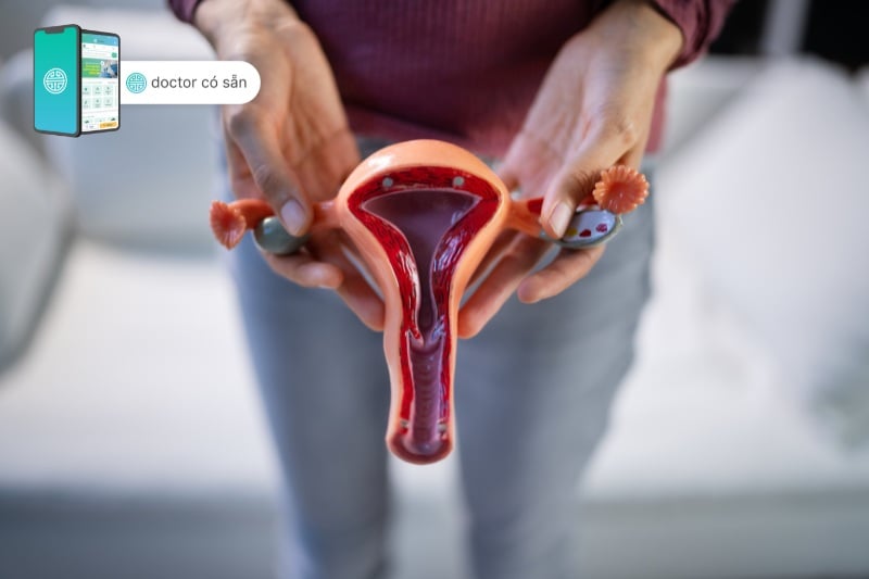 Once inserted, the vaginal ring steadily releases estrogen and progestin absorbed through the vaginal walls into the bloodstream