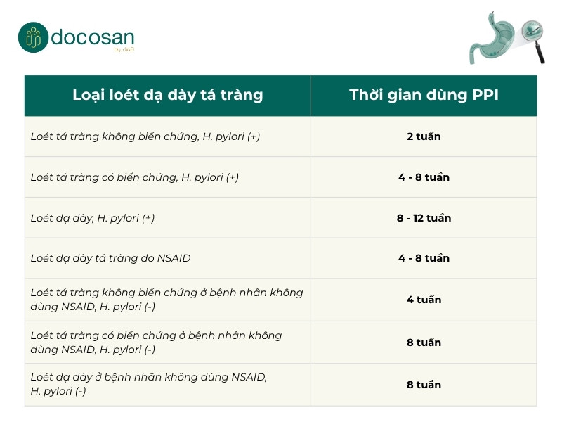 thời gian sử dụng ppi