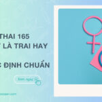 Nhịp tim thai 165 lần phút là trai hay gái? Cách xác định chuẩn
