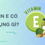 vitamin e có tác dụng gì