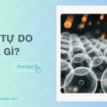 Gốc tự do là gì? Ảnh hưởng đến cơ thể như thế nào?