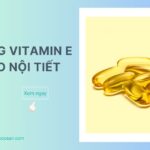 Vitamin E có đóng góp vai trò quan trọng trong việc hình thành và củng cố hệ thống miễn dịch và cân bằng các rối loạn nội tiết trong cơ thể
