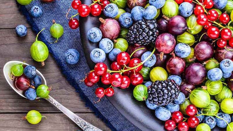 Các loại quả mọng chứa nhiều chất chống oxy hóa