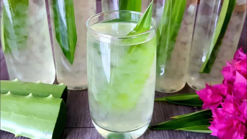 Nha đam cũng có công dụng làm giảm đau bao tử