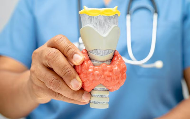 Dấu hiệu cường giáp: Nhận biết sớm để bảo vệ sức khỏe