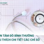 Điện tâm đồ bình thường - Giải thích chi tiết các chỉ số