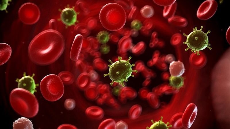 Nhiễm trùng huyết là biến chứng cực kỳ nguy hiểm xảy ra khi vi khuẩn từ đường tiết niệu lan vào máu, gây nhiễm trùng toàn thân