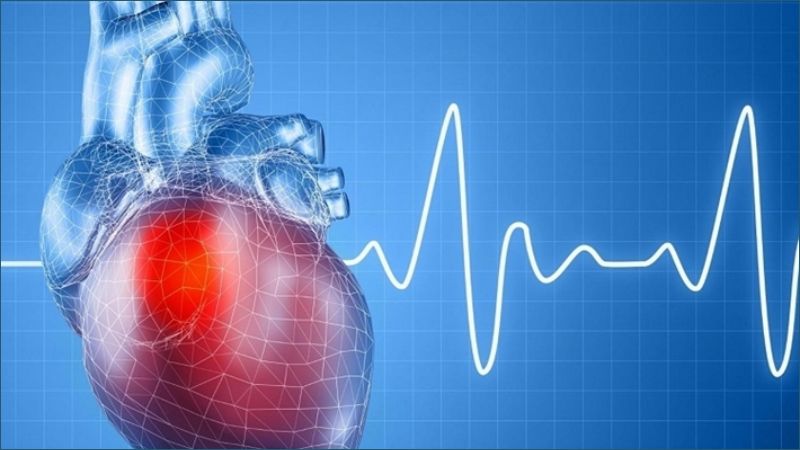 Tùy thuộc vào thể trạng, giới tính, độ tuổi mà nhịp tim chuẩn ở mỗi người có thể khác nhau