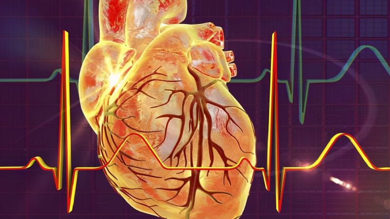 Xác định mức độ nghiêm trọng của hẹp van, hở van hoặc sa van (nhẹ, trung bình, nặng)