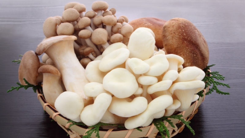 Nấm là món ăn dân dã nhưng chứa hàm lượng dinh dưỡng cao