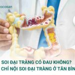 Nội soi đại tràng là thủ thuật giúp phát hiện sớm các tổn thương ở vùng đại - trực tràng, nhưng nhiều người vẫn băn khoăn “nội soi có đau không?”