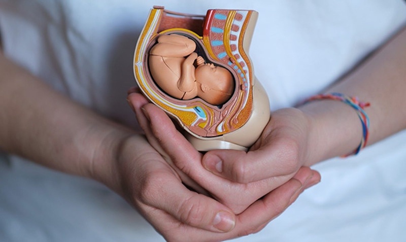 Thai giáo là quá trình tương tác có chủ đích giữa cha mẹ và thai nhi từ khi bé còn trong bụng mẹ