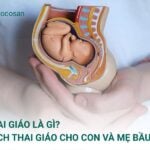 Bạn đang tìm hiểu thai giáo là gì và làm sao để thai giáo cho con và thai giáo cho mẹ bầu một cách khoa học?