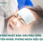 Viêm não Nhật Bản: Dấu hiệu sớm, nguyên nhân, phòng ngừa hiệu quả