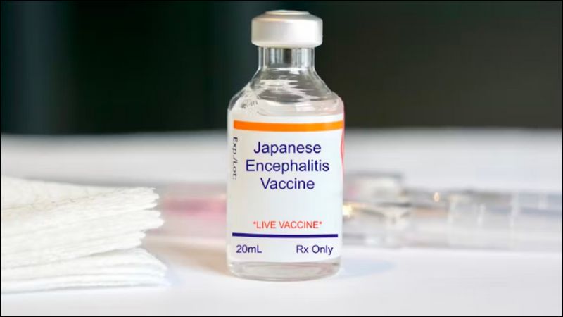 Ba mẹ cần đưa trẻ tiêm phòng vắc-xin viêm não Nhật Bản theo đúng lịch trình