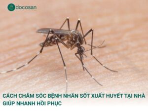 Cách chăm sóc bệnh nhân sốt xuất huyết tại nhà giúp nhanh hồi phục