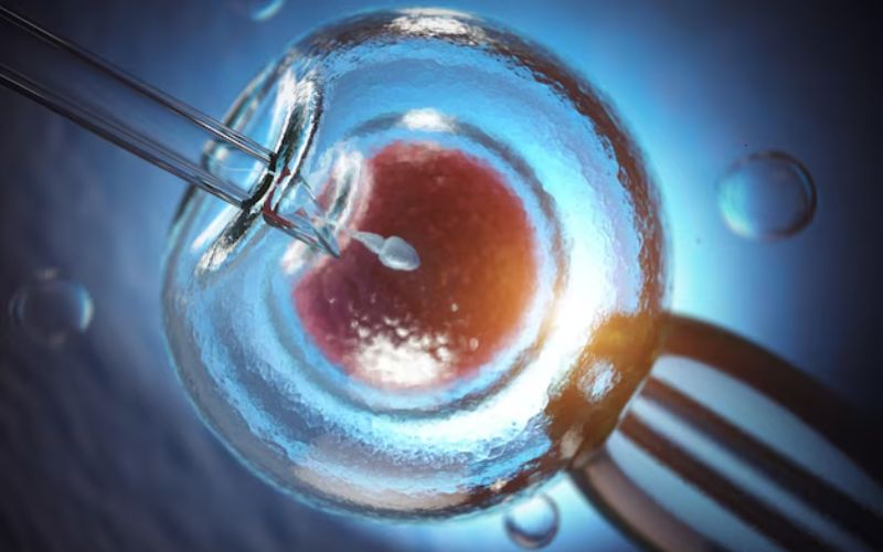 The cost of an IVF cycle in Ho Chi Minh City typically ranges from $2,800 to $6,000, depending on the treatment protocol, medications, and additional techniques