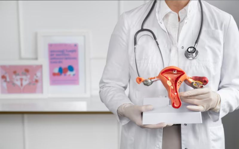 When choosing an IVF doctor, prioritize those with a proven track record, a supportive team, strong communication skills, and proficiency in English for clear and effective counseling