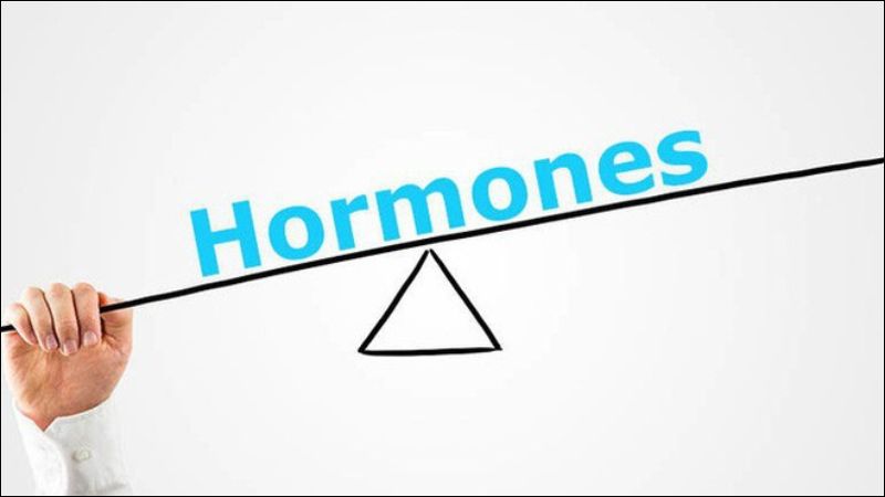 Cân nặng có thể ảnh hưởng đến hoạt động của hệ nội tiết