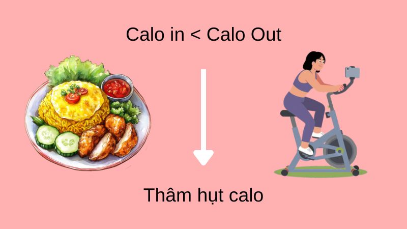 Cốt lõi của việc giảm mỡ là năng lượng nạp vào phải thấp hơn năng lượng tiêu hao