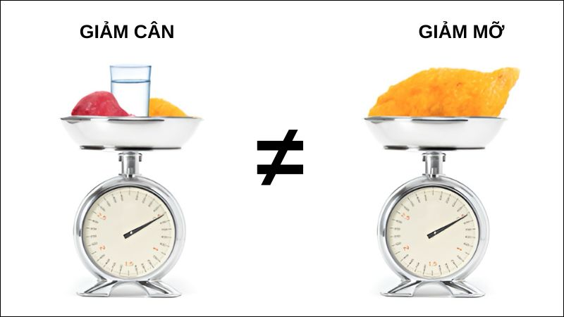 Giảm cân và giảm mỡ hoàn toàn khác nhau về bản chất