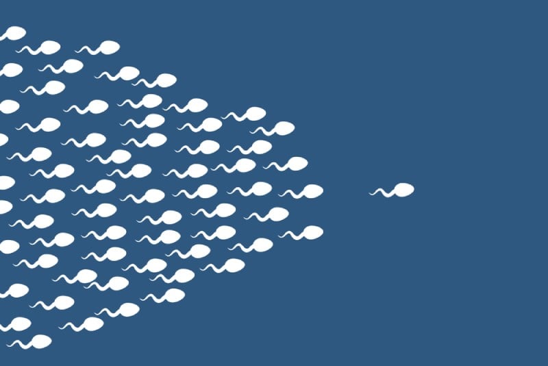 giảm cân cải thiện chất lượng tinh trùng