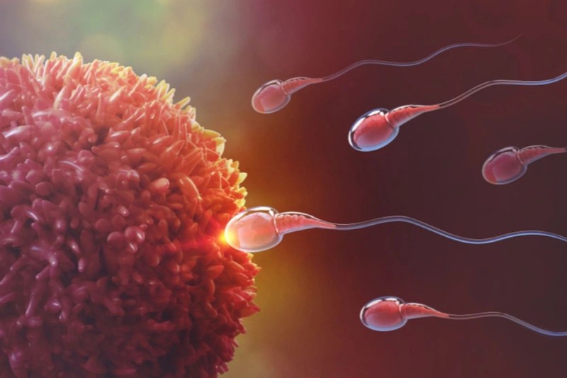 giảm số lượng tinh trùng