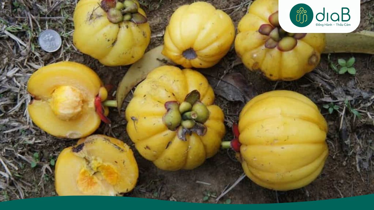 Quả bứa ngăn chặn chuyển hóa đường thành mỡ thừa tích tụ