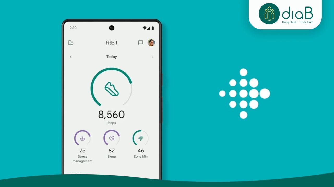 Ứng dụng Fitbit kết nối thiết bị đeo theo dõi vận động giảm cân