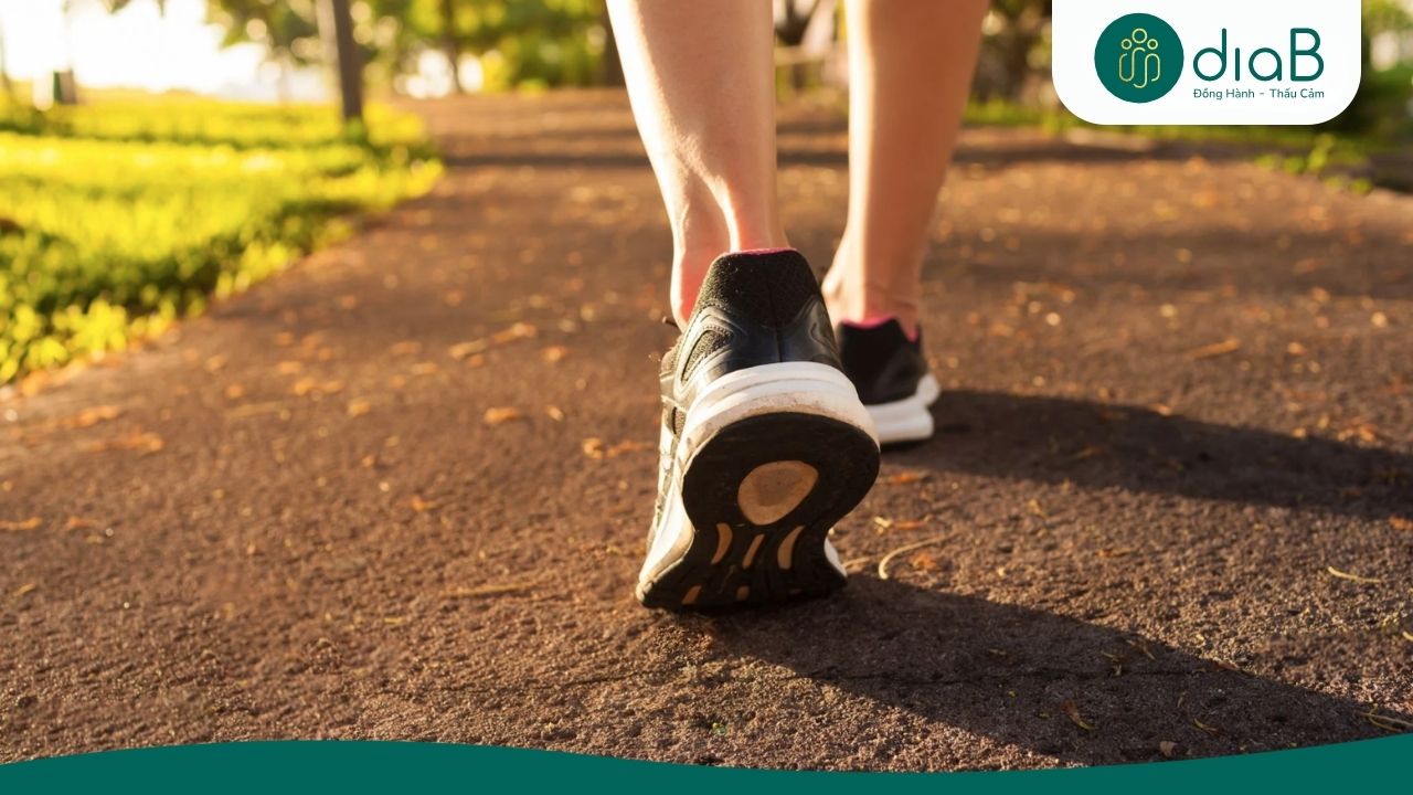 Đi bộ là một dạng vận động cardio cường độ thấp đến trung bình
