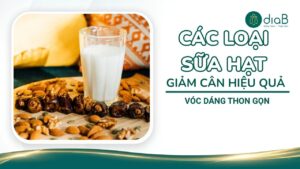 Các loại sữa hạt giảm cân hiệu quả, vóc dáng thon gọn tại nhà