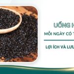 Uống hạt é mỗi ngày có tốt không? Lợi ích và lưu ý khi dùng
