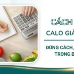 Cách tính calo giảm cân đúng cách, hiệu quả trong bữa ăn