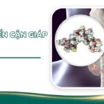 suy tuyến cận giáp