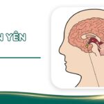 tuyến yên