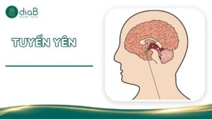 tuyến yên